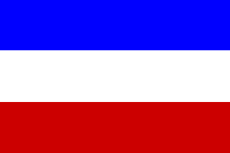 bandera del ANAPO